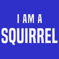 Squirrel Costume Easy Simple Halloween Costumes Baby Bodysuit