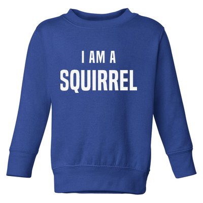 Squirrel Costume Easy Simple Halloween Costumes Toddler Sweatshirt