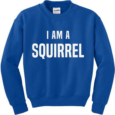 Squirrel Costume Easy Simple Halloween Costumes Kids Sweatshirt