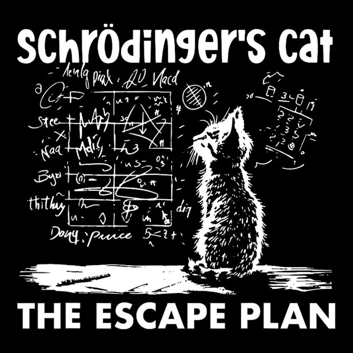 SchröDingers Cat Escape Plan Funny Science 16 in Basic Backpack