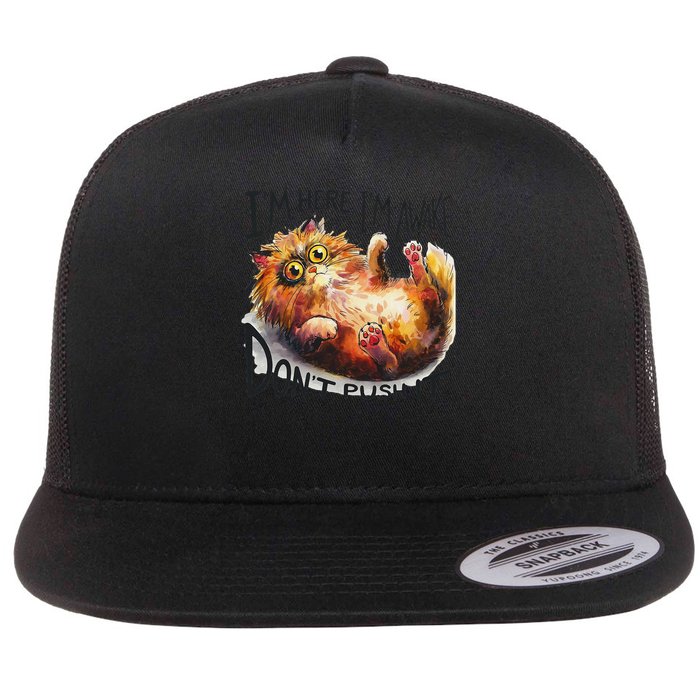 Sarcastic Cat Funny Cat Im Here Im Awake Dont Push It Flat Bill Trucker Hat