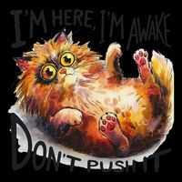 Sarcastic Cat Funny Cat Im Here Im Awake Dont Push It Flat Bill Trucker Hat