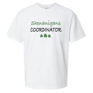 Shenanigans Coordinator Funny St Patricks Day Gift Sueded Cloud Jersey T-Shirt