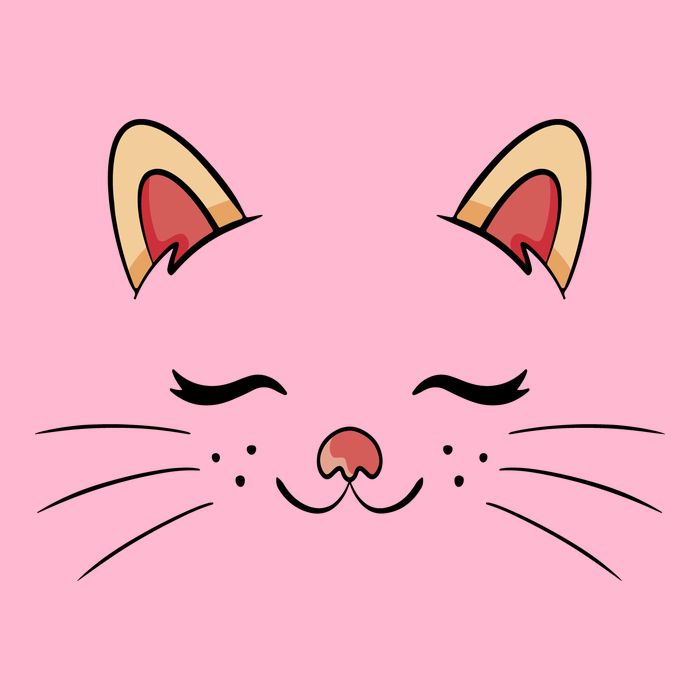 Sleeping Cat Face Poster