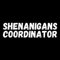Shenanigans Coordinator Funny St Patrick's Day Sustainable Bucket Hat
