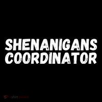 Shenanigans Coordinator Funny St Patrick's Day Sustainable Knit Beanie