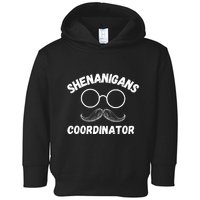 Shenanigans Coordinator Funny Saying Toddler Hoodie