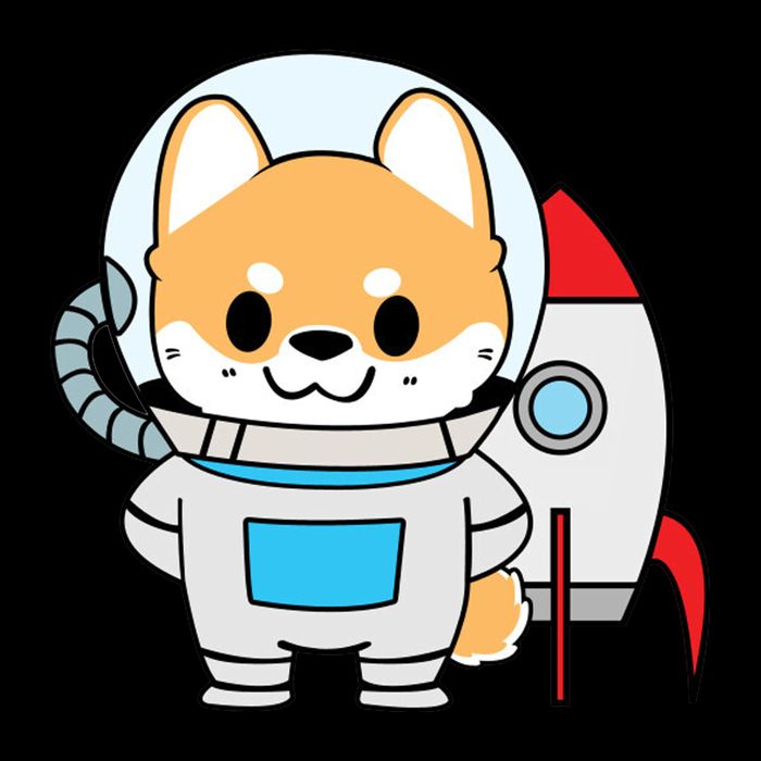 Shiba Cute Fox Rocket Ship Cartoon Cooling Performance Crew T-Shirt