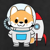 Shiba Cute Fox Rocket Ship Cartoon 11oz C Handle Ceramic Mug