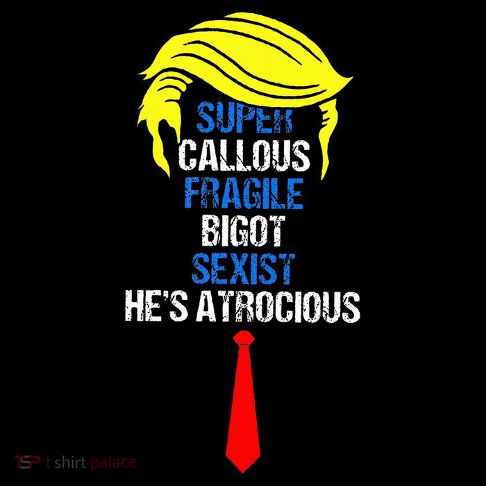 Super Callous Fragile Bigot Sexist HeS Atrocious Apron