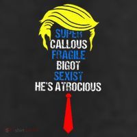 Super Callous Fragile Bigot Sexist HeS Atrocious 11oz C Handle Ceramic Mug