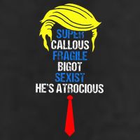 Super Callous Fragile Bigot Sexist HeS Atrocious 15oz Campfire Ceramic Mug
