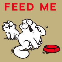 Simon's Cat Feed Me Cat Performance Shirt