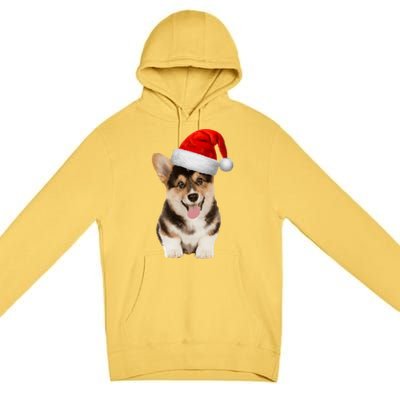 Santa Corgi Funny Gift For Dog Lovers Corgi Christmas Gift Premium Pullover Hoodie