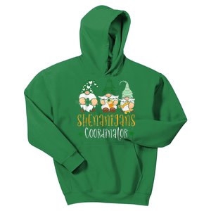 Shenanigans Coordinator Funny St Patricks Day Teacher Kids Hoodie