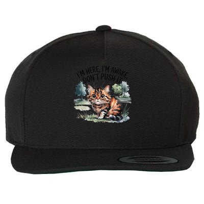 Sarcastic Cat Funny Cat Im Here Im Awake Dont Push It Wool Snapback Cap