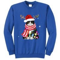 Santa Cat Gorgeous Reindeer Light Christmas Lover Gift Tall Sweatshirt