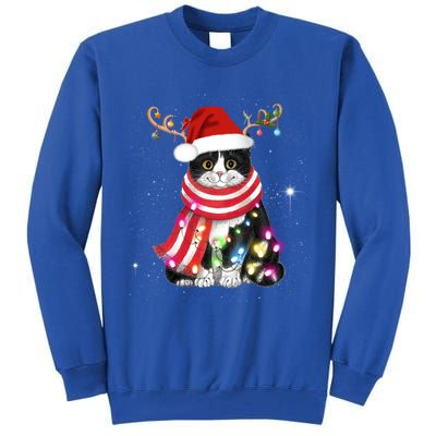 Santa Cat Gorgeous Reindeer Light Christmas Lover Gift Tall Sweatshirt