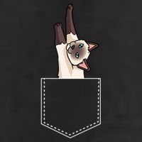 Siamese Cat Gift Love My Siamese Cat Funny Gift 11oz C Handle Ceramic Mug