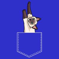 Siamese Cat Gift Love My Siamese Cat Funny Gift Visor
