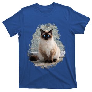 Siamese Cat Gift T-Shirt