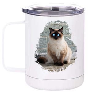 Siamese Cat Gift 12 oz Stainless Steel Tumbler Cup