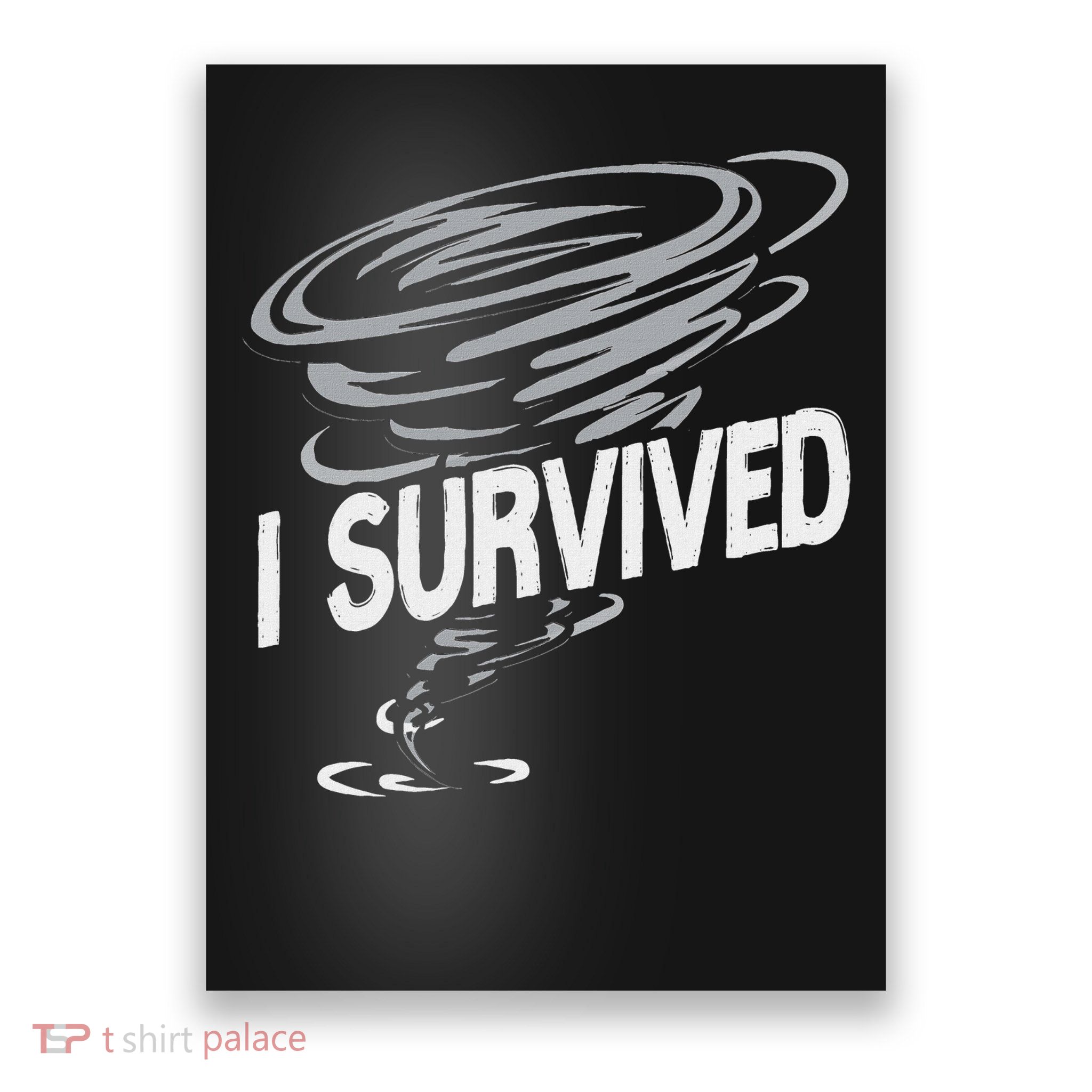 Storm Chaser Hurricane Meteorology Tornado I Survived Poster