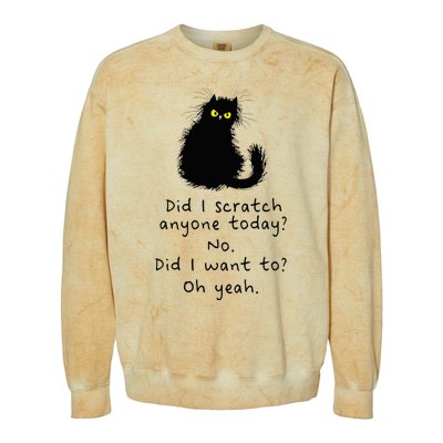 Sarcastic Cat Have I Scratched Anyone Today Funny Black Cat Colorblast Crewneck Sweatshirt