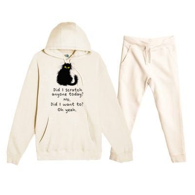 Sarcastic Cat Have I Scratched Anyone Today Funny Black Cat Premium Hooded Sweatsuit Set