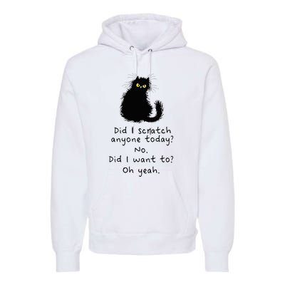 Sarcastic Cat Have I Scratched Anyone Today Funny Black Cat Premium Hoodie