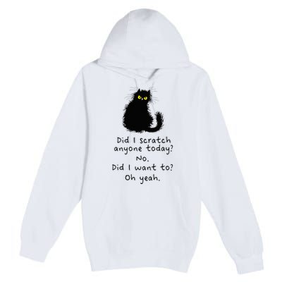 Sarcastic Cat Have I Scratched Anyone Today Funny Black Cat Premium Pullover Hoodie