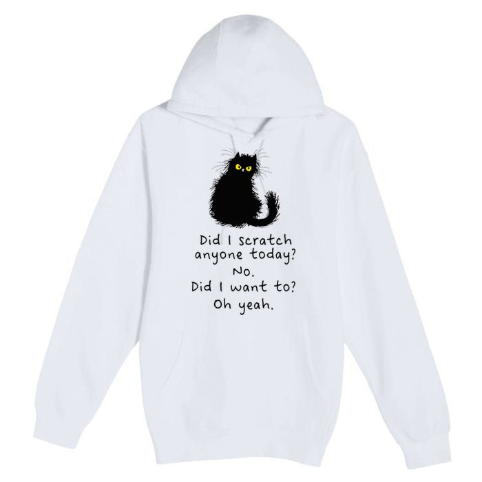 Sarcastic Cat Have I Scratched Anyone Today Funny Black Cat Premium Pullover Hoodie