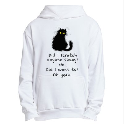 Sarcastic Cat Have I Scratched Anyone Today Funny Black Cat Urban Pullover Hoodie