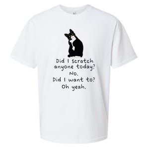 Sarcastic Cat Have I Scratched Anyone Today Funny Black Cat Sueded Cloud Jersey T-Shirt