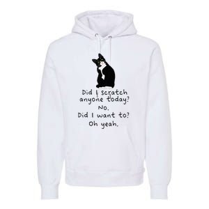 Sarcastic Cat Have I Scratched Anyone Today Funny Black Cat Premium Hoodie