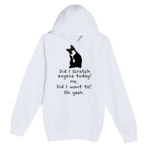 Sarcastic Cat Have I Scratched Anyone Today Funny Black Cat Premium Pullover Hoodie