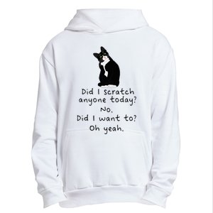 Sarcastic Cat Have I Scratched Anyone Today Funny Black Cat Urban Pullover Hoodie