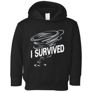 Storm Chaser Hurricane Meteorology Tornado I Survived Toddler Hoodie