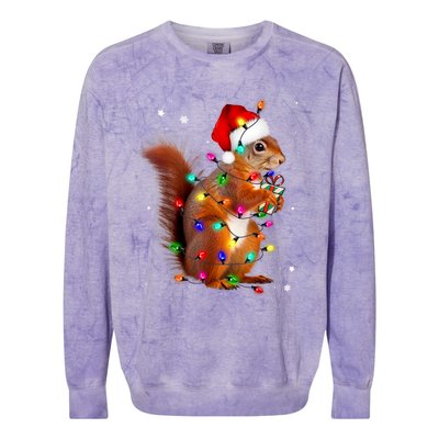 Squirrel Christmas Hat Santa Pajama Squirrels Lover Xmas Colorblast Crewneck Sweatshirt