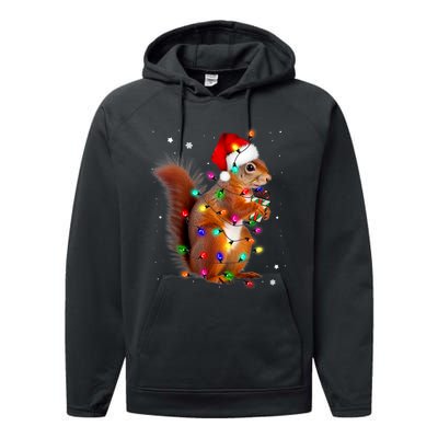 Squirrel Christmas Hat Santa Pajama Squirrels Lover Xmas Performance Fleece Hoodie