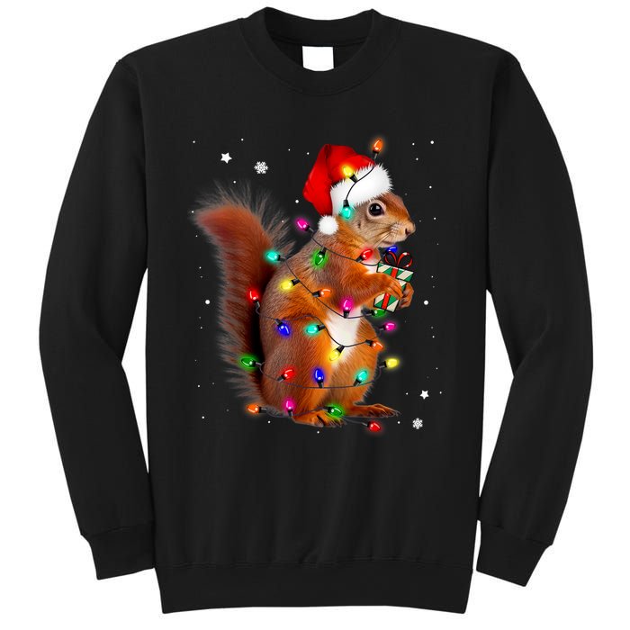 Squirrel Christmas Hat Santa Pajama Squirrels Lover Xmas Sweatshirt