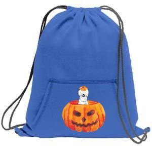 Silkie Chicken Happy Halloween Pumpkin Farm Animal Lover Meaningful Gift Sweatshirt Cinch Pack Bag