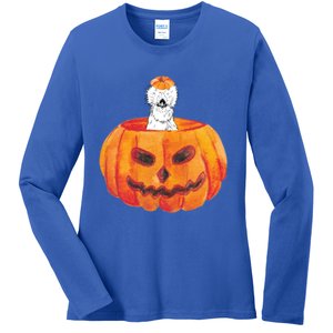 Silkie Chicken Happy Halloween Pumpkin Farm Animal Lover Meaningful Gift Ladies Long Sleeve Shirt