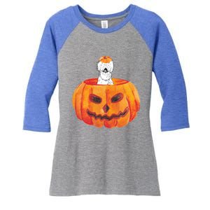 Silkie Chicken Happy Halloween Pumpkin Farm Animal Lover Meaningful Gift Women's Tri-Blend 3/4-Sleeve Raglan Shirt