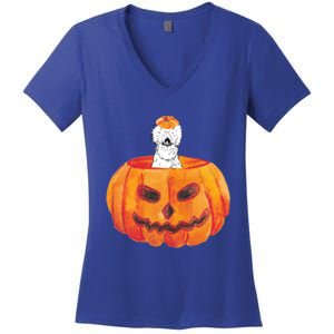 Silkie Chicken Happy Halloween Pumpkin Farm Animal Lover Meaningful Gift Women's V-Neck T-Shirt