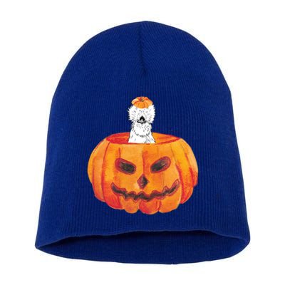 Silkie Chicken Happy Halloween Pumpkin Farm Animal Lover Meaningful Gift Short Acrylic Beanie