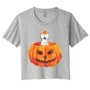 Silkie Chicken Happy Halloween Pumpkin Farm Animal Lover Meaningful Gift Women's Crop Top Tee