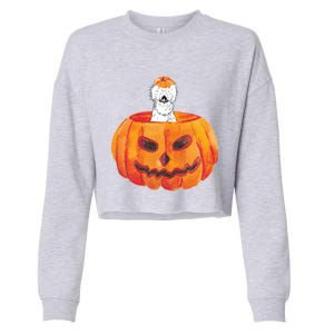 Silkie Chicken Happy Halloween Pumpkin Farm Animal Lover Meaningful Gift Cropped Pullover Crew