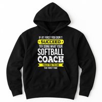 Softball Coach If At First You Dont Succeed Funny Hoodie