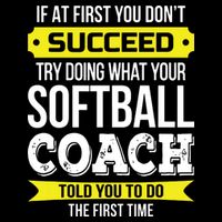 Softball Coach If At First You Dont Succeed Funny Button